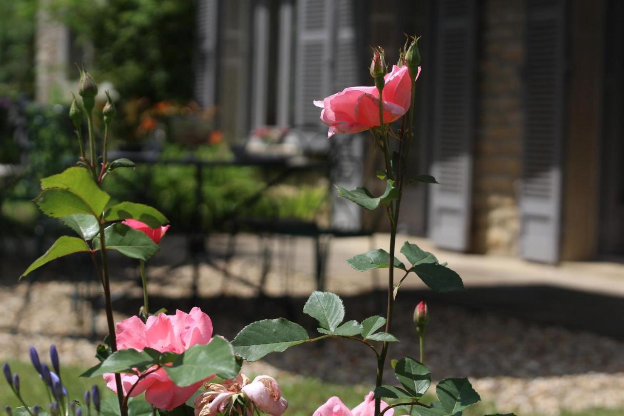 Bed and Breakfast Chez Sophie Et Benoit La Bussiere-sur-Ouche Екстер'єр фото