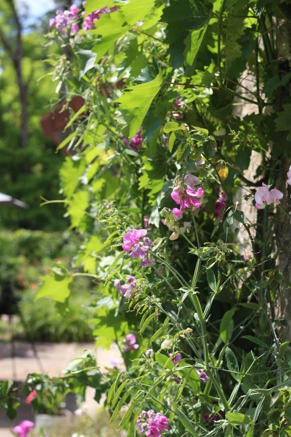 Bed and Breakfast Chez Sophie Et Benoit La Bussiere-sur-Ouche Екстер'єр фото